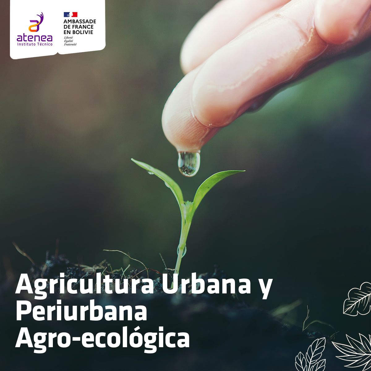 Agricultura-eco