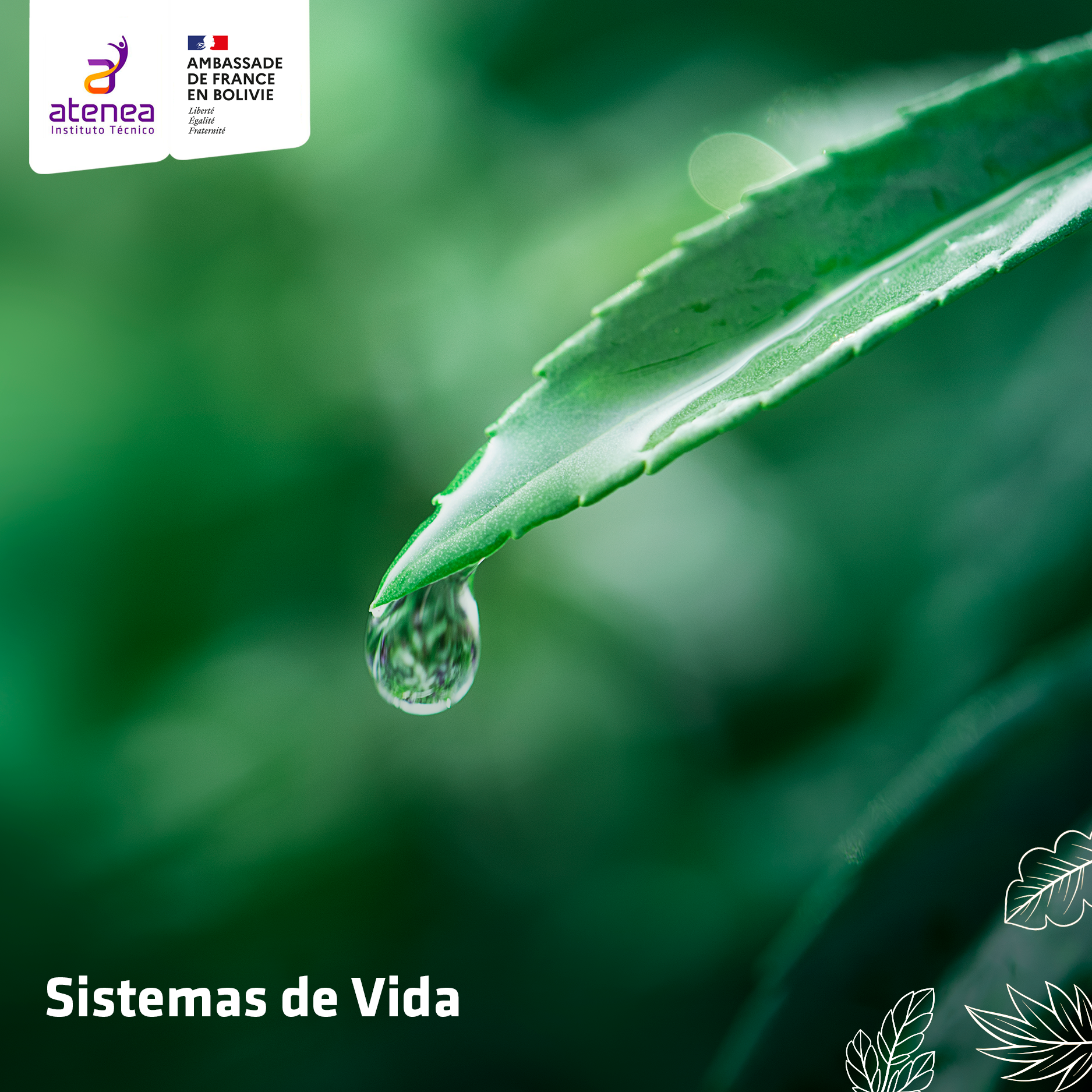 Sistemas-de-vida