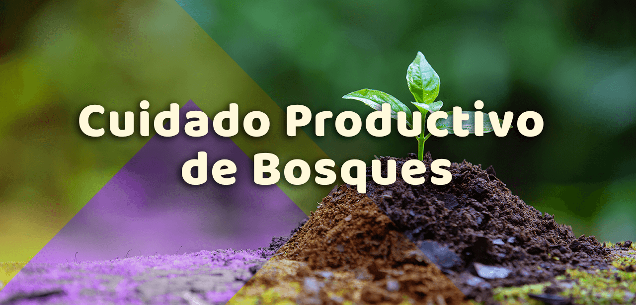 3-Cuidado-Productivo-de-bosques-1 3-Cuidado-Productivo-de-bosques-1