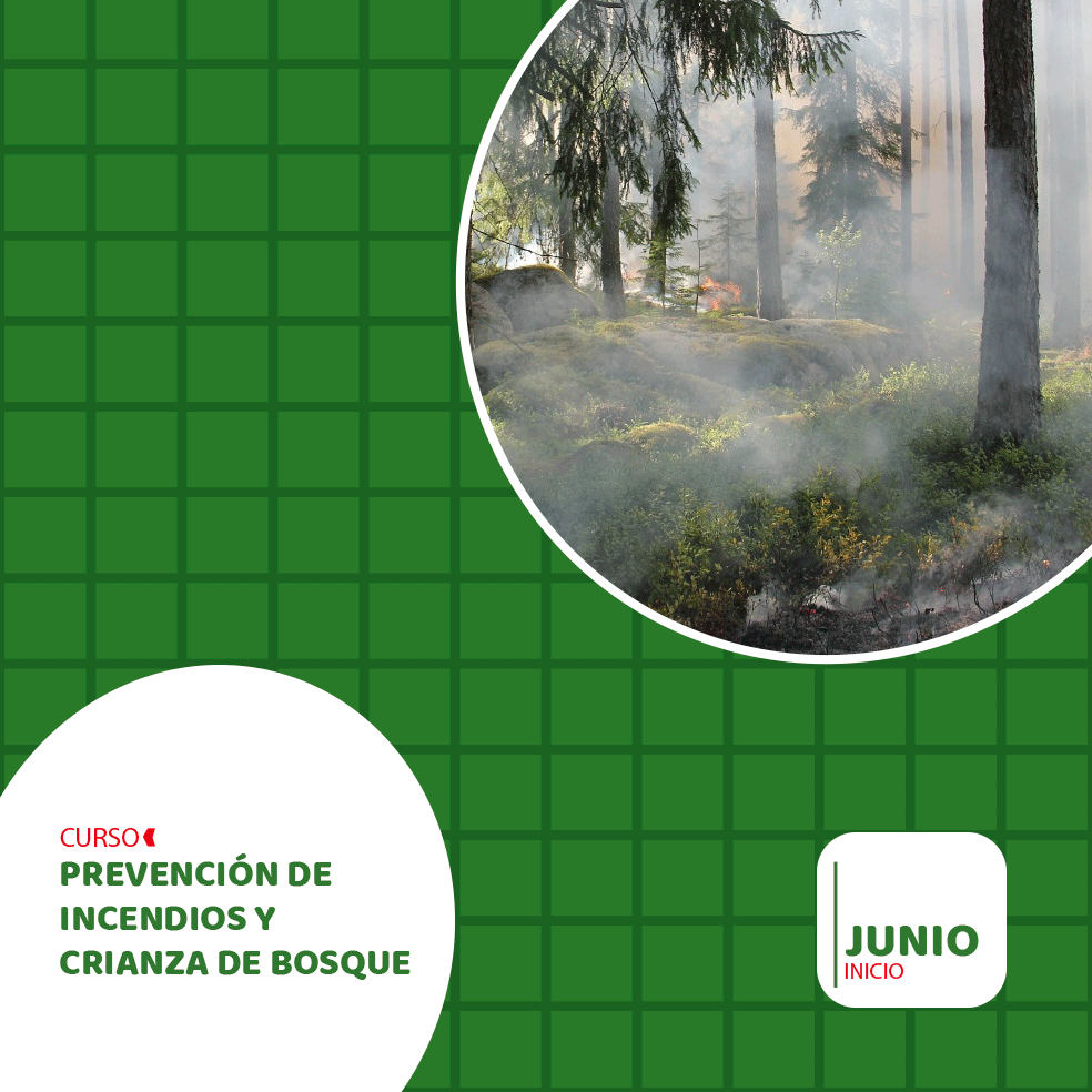 9PREVENCION-DE-INCENDIOS-Y-CRIANZA-DE-BOSQUE