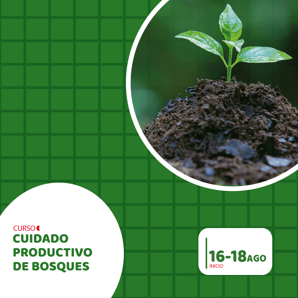 Cuidado-prod-bosques